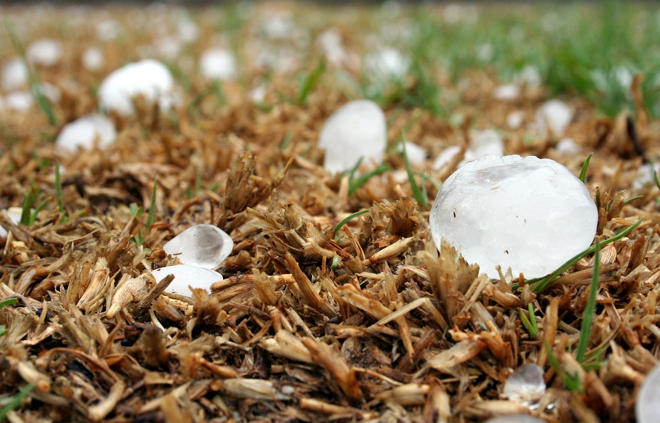 Ice balls on the ground in a hailstorm.