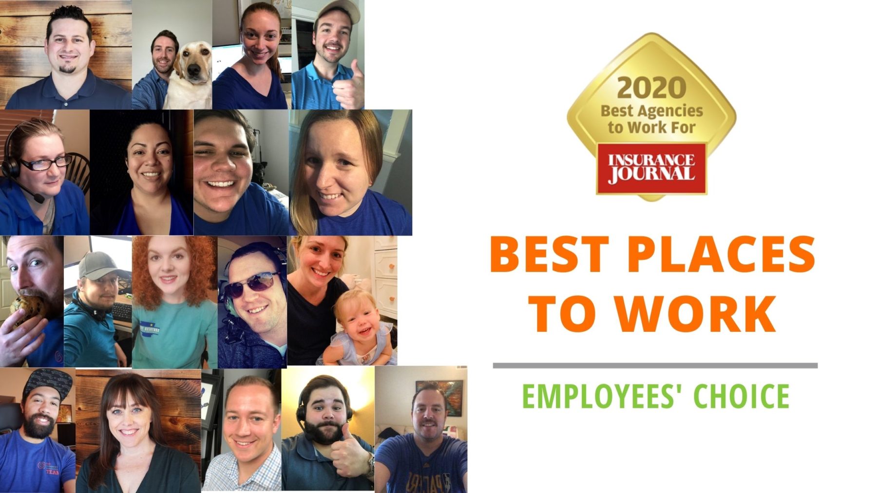 best place to work, best agency, employees choice, insurance journal