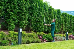 a man in a green uniform cutting a hedge