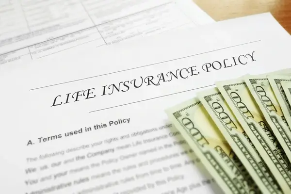 a close-up of a life insurance policy