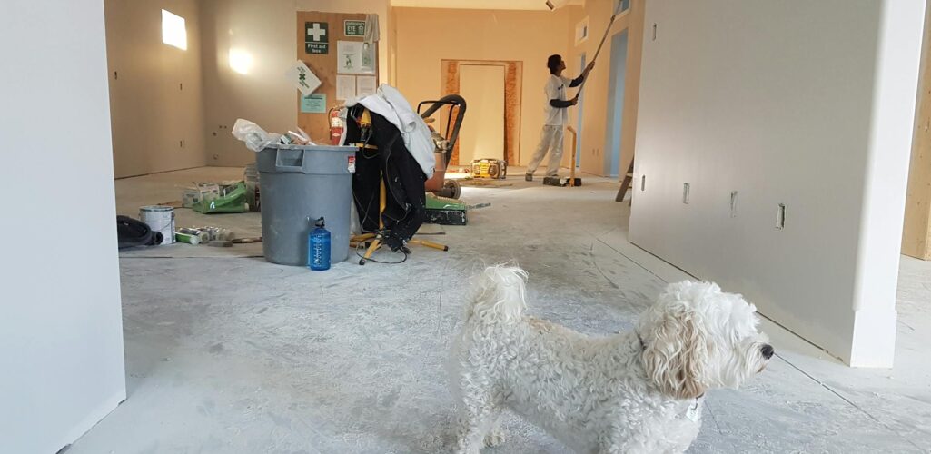 Home Upgrades