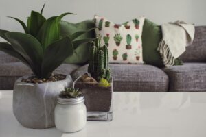Best Home Insurance