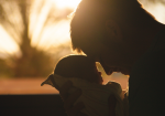 Term Life Insurance Vs Whole Life Insurance